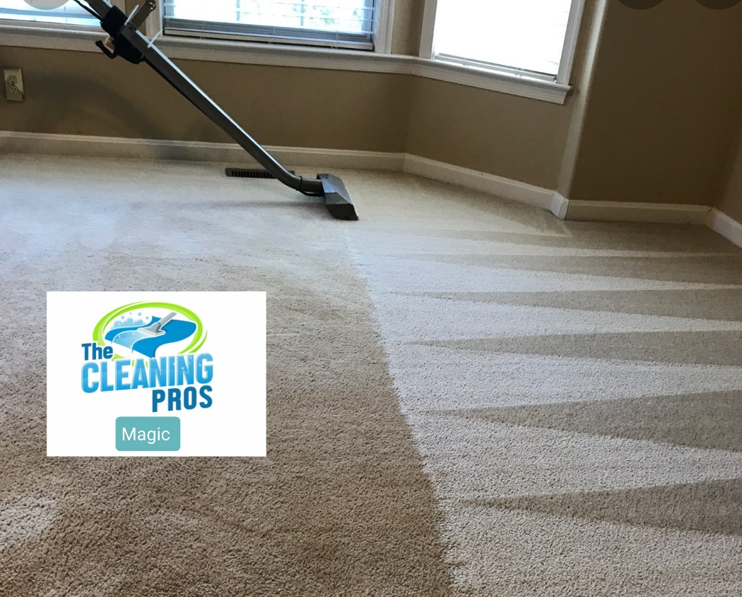 Carpet Cleaning Nyc 20 Off